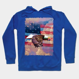 American Eagle Flight Hoodie